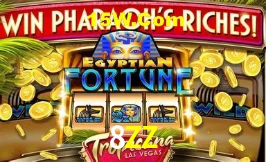 Casino Ao Vivo 8ZZ