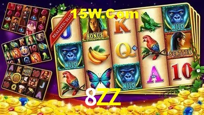 8ZZ Salvador - Promo Stats